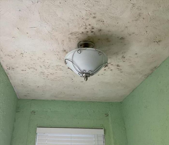 Bathroom ceiling and lamp with visible mold and water stains on paint and plaster