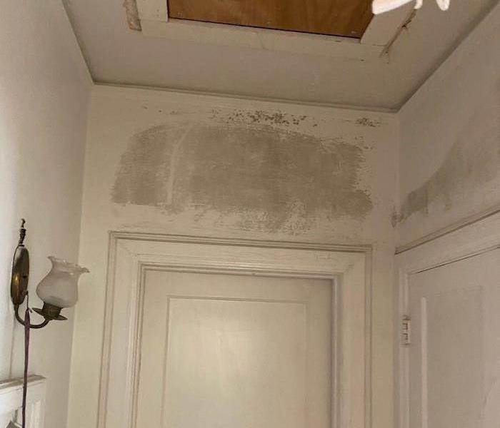 Mold damage on the wall and ceiling above the door